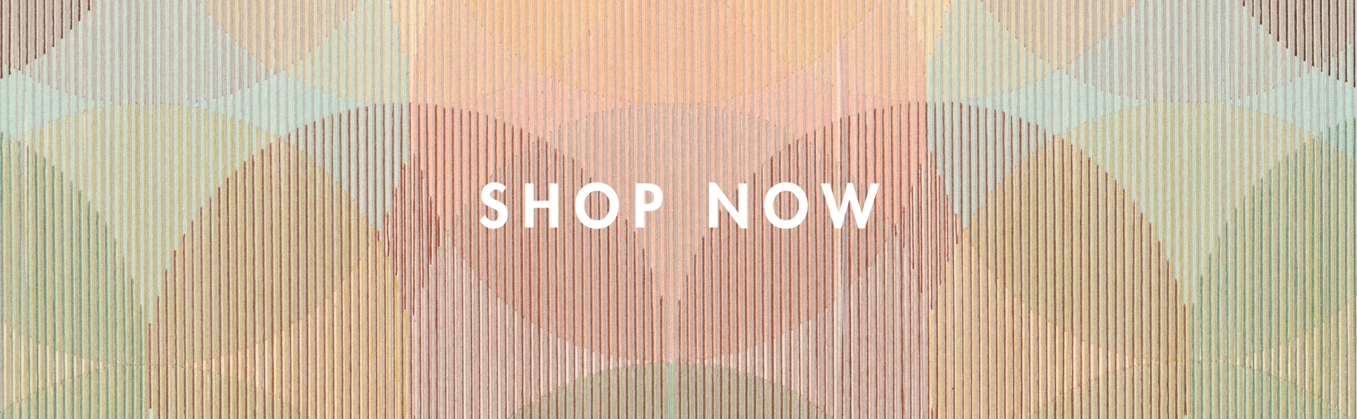 HOME_SHOP_NOW_BANNER_DESK