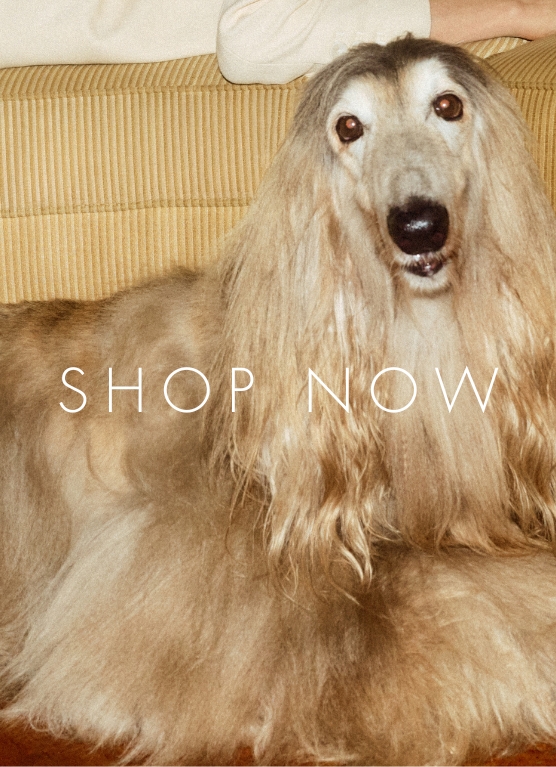 SHOP_NOW_MOBILE